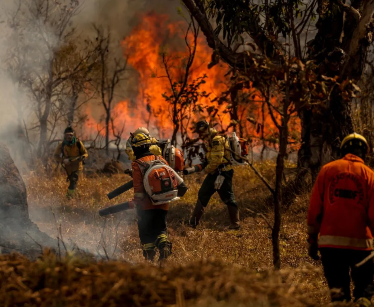 Teresina é a única capital que não piorou qualidade do ar no período das queimadas