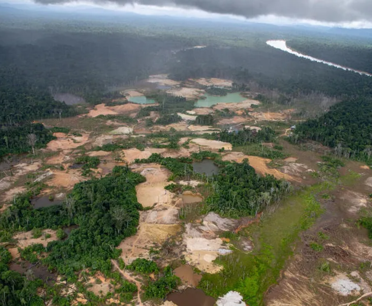 Redução de novos garimpos na Terra Yanomami chega a 95,9%