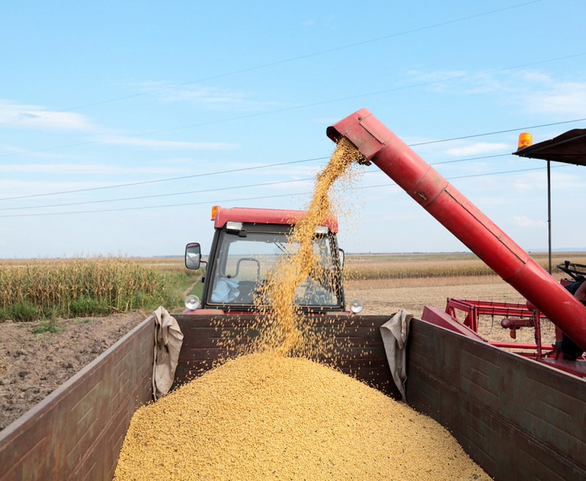 Maranhão registra US$ 3,8 bi em exportações e é destaque na balança comercial do Nordeste