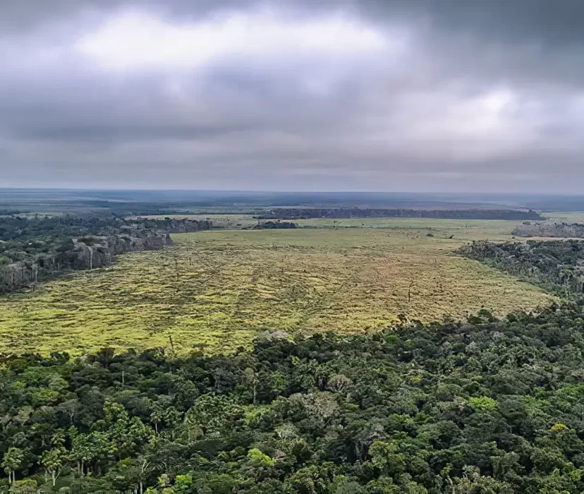 Degradação de florestas na Amazônia bate recorde mensal em setembro