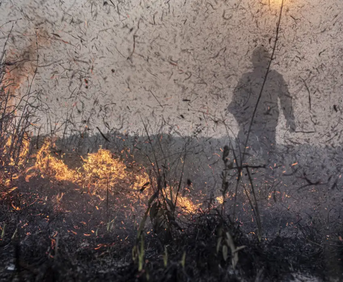 Focos de incêndios no Brasil já são 76% maior que em 2023