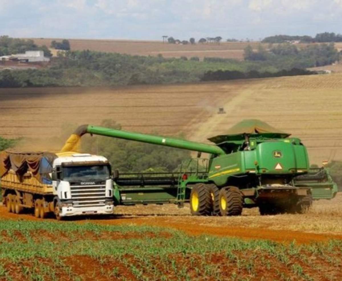 Bahia é destaque com oito cidades entre as 100 mais ricas do agro no Brasil