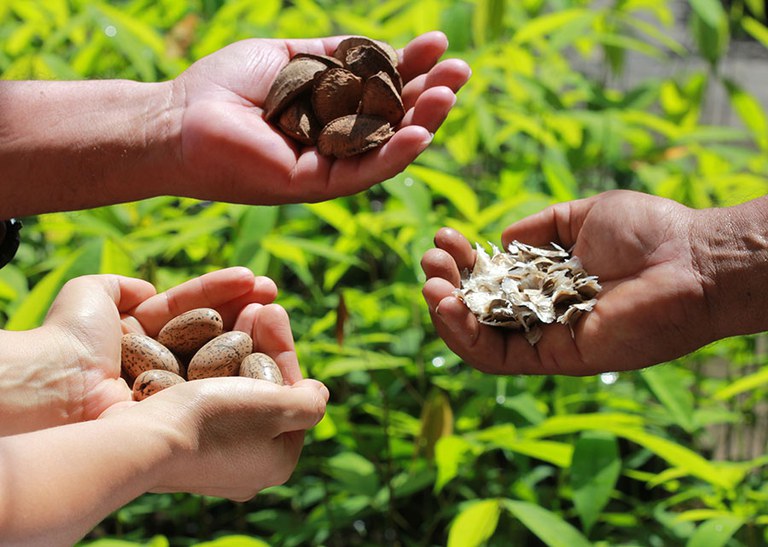 Rede Impacta Bioeconomia realiza 1º Seminário, em Petrolina