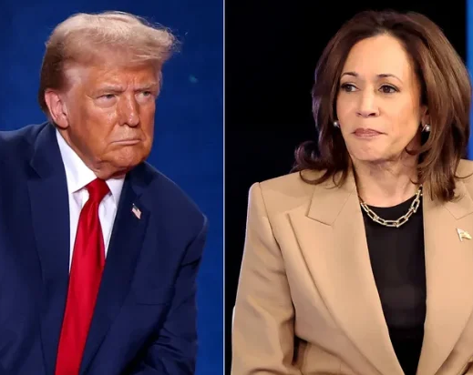 Trump x Harris: como a eleição dos EUA deve afetar o Brasil