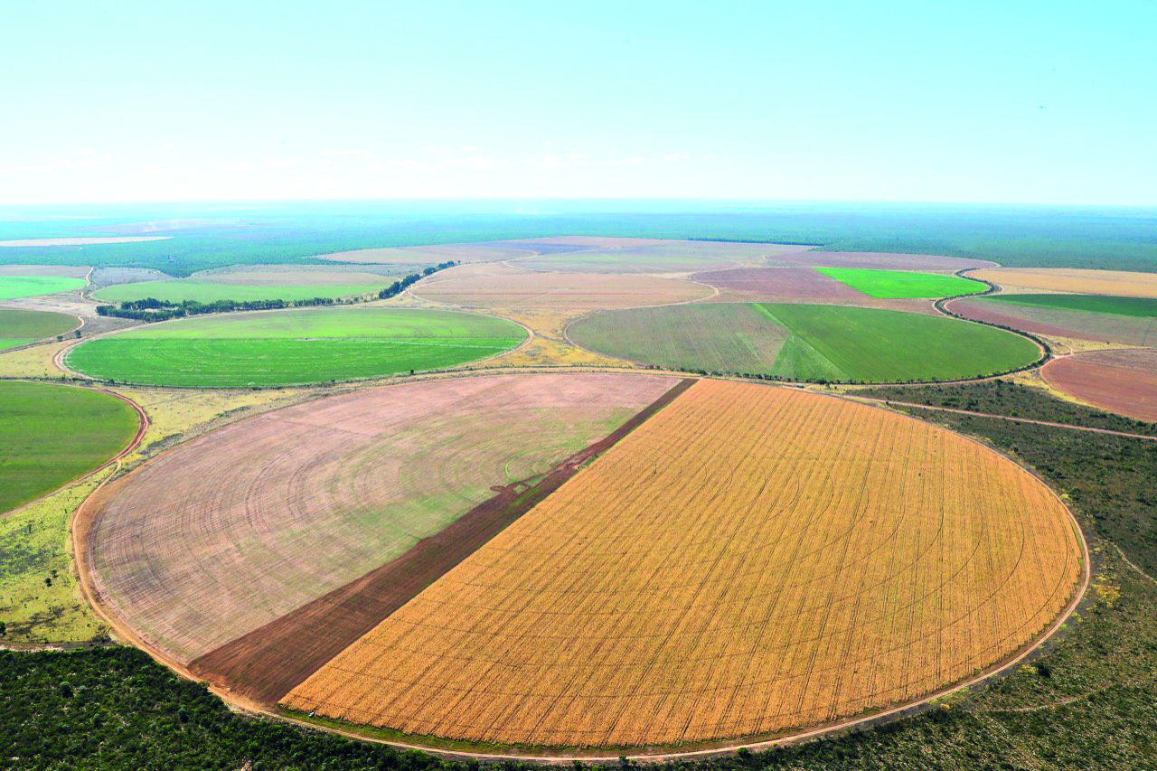 Estudo identifica mudanças necessárias do uso da terra no cultivo de soja no Matopiba