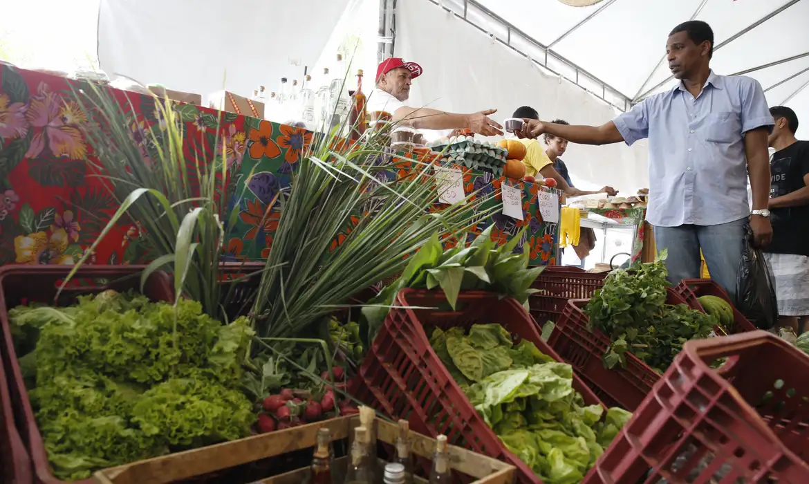 Transferência de Renda é a melhor estratégia para conter inflação dos alimentos, avalia CLP