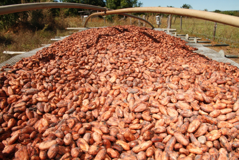 FIEB avalia impactos das tarifas dos EUA às exportações baianas