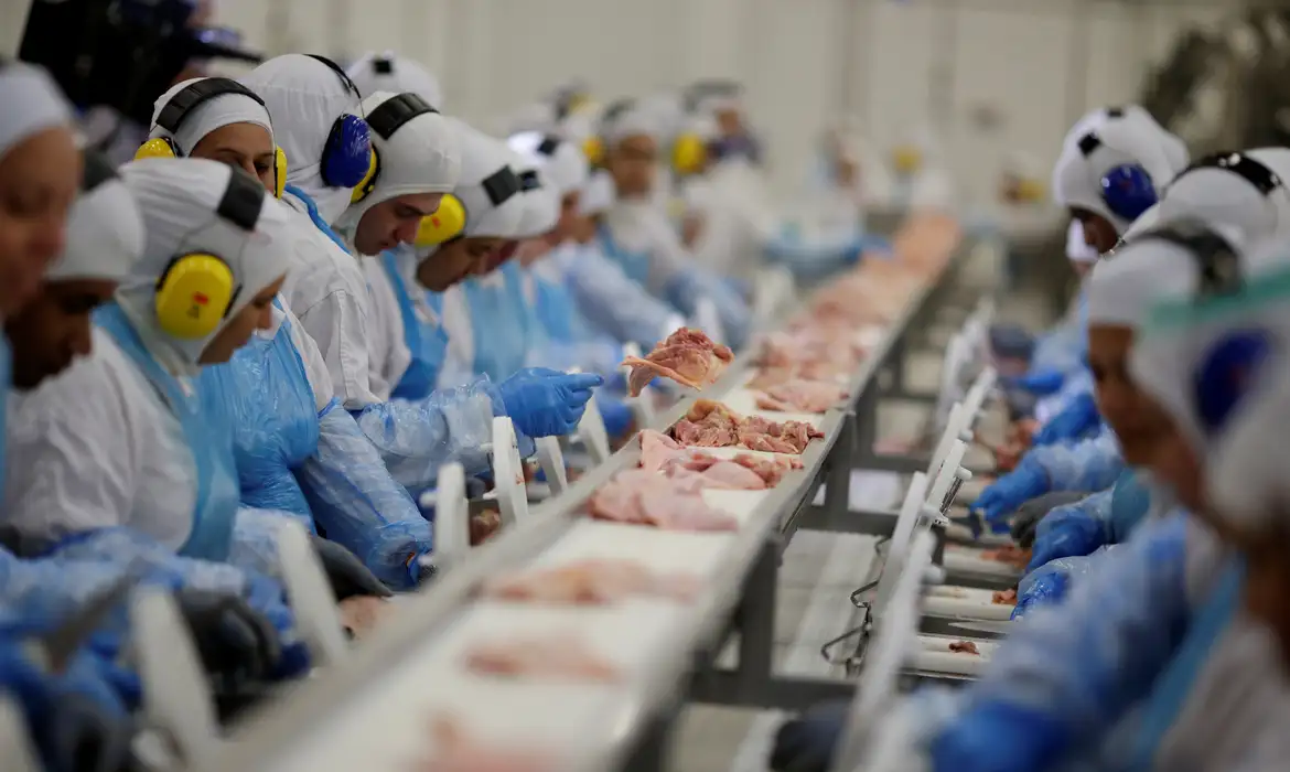 China, UE e Argentina suspendem compras de carne de frango do Brasil