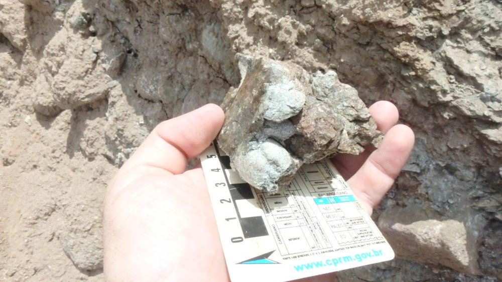 Fósseis encontrados na Transposição do Rio São Francisco revelam achados de 140 milhões de anos em Pernambuco