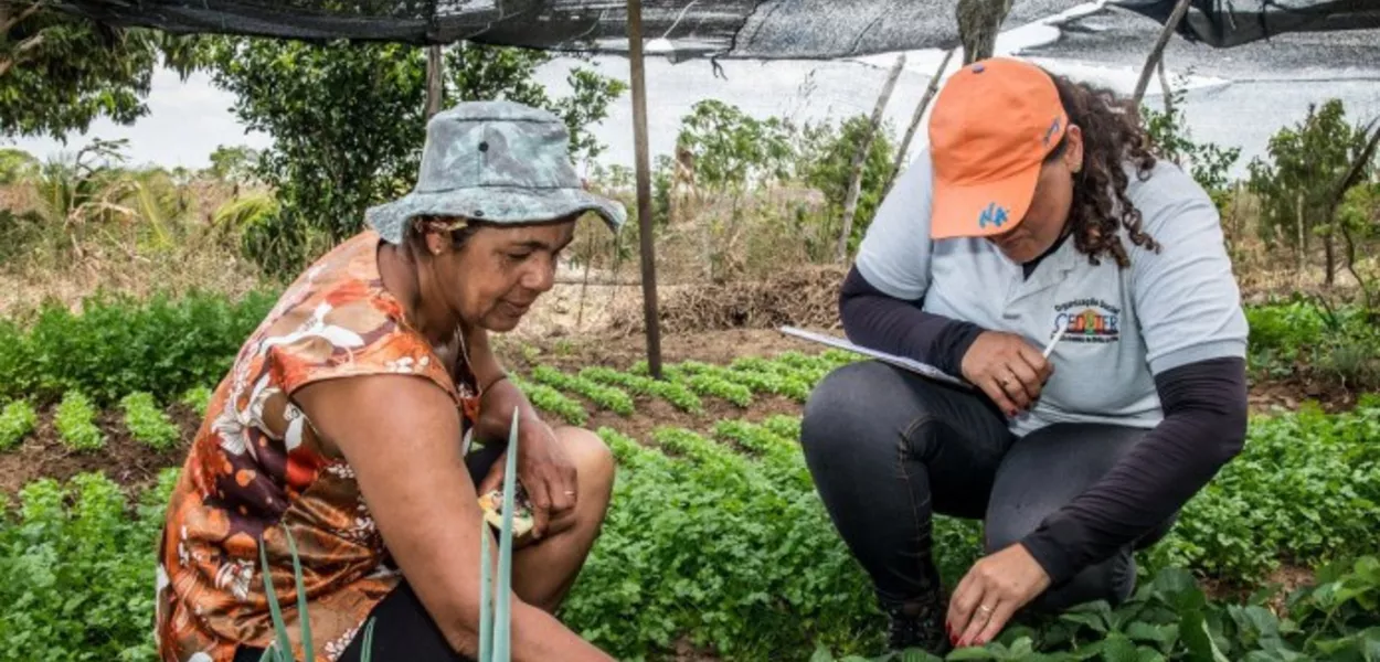 Bahia firma contrato de R$ 299 milhões com BNDES para impulsionar agricultura familiar no semiárido