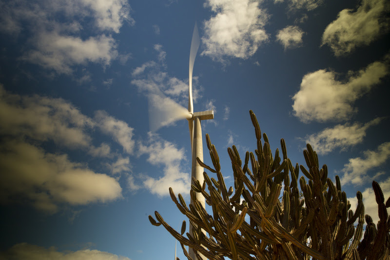 Complexo Eólico Ventos de São Zacarias é inaugurado na divisa entre Piauí e Pernambuco