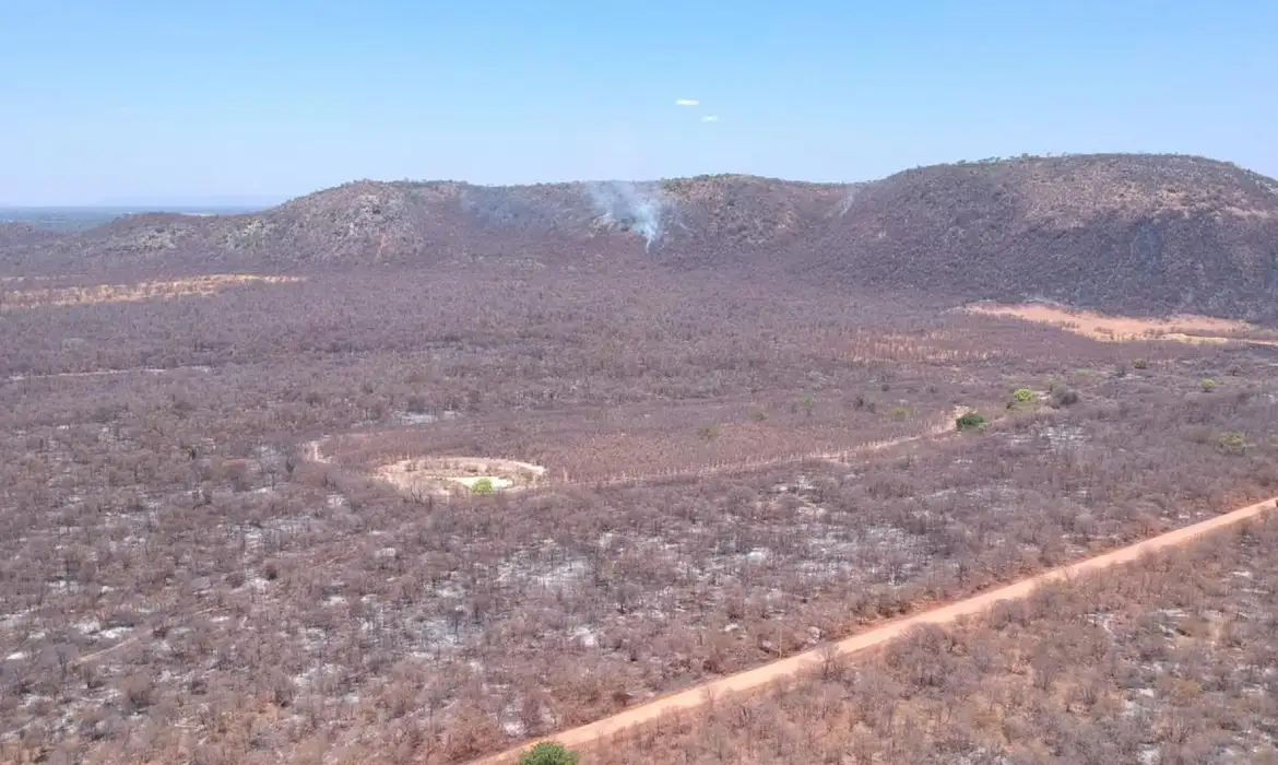 Nove estados registraram mais de 41 mil crimes ambientais em dois anos