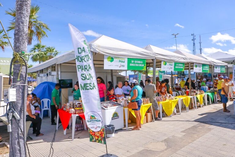 Pesquisa aponta que extrema pobreza cai 50% no Piauí e estado lidera ranking do Nordeste