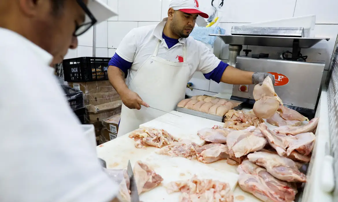 Gripe aviária: 17 países suspendem restrição à carne brasileira