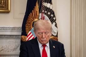 EUA discutiram asilo e escudo contra Interpol para Bolsonaro, disse Paulo Figueiredo em live