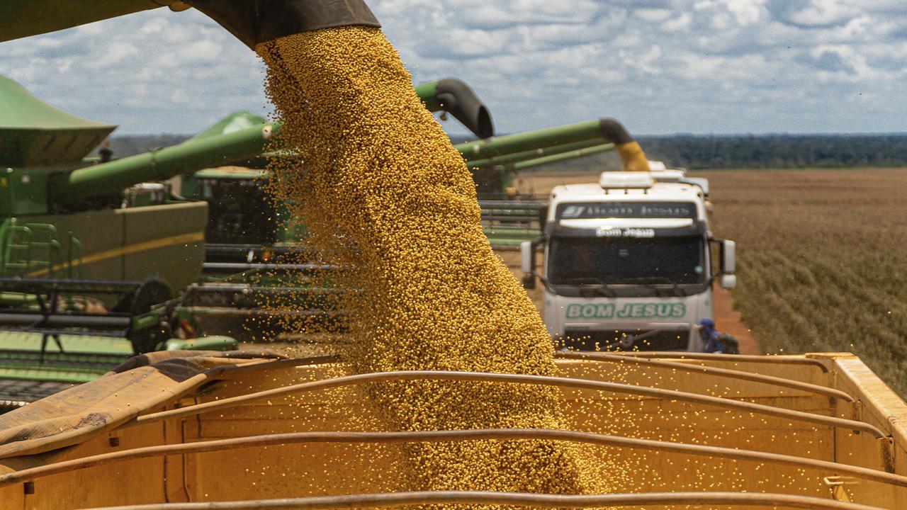 Bom Jesus Agropecuária amplia agenda ESG e lança segundo Relatório de Sustentabilidade