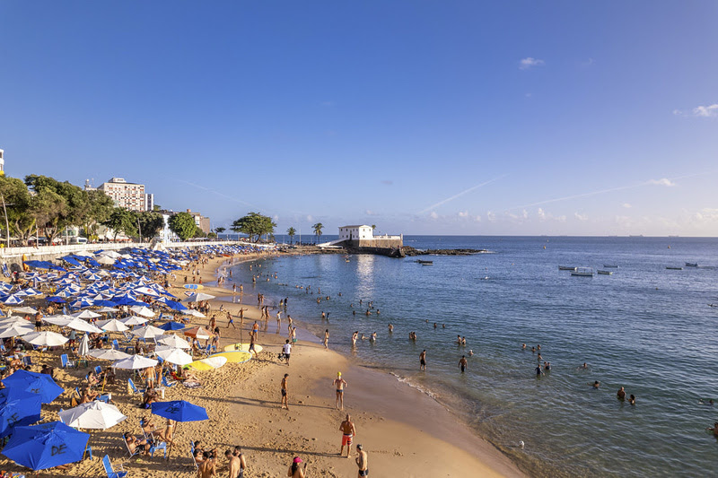 Copa Airlines retoma rota Panamá-Bahia com quatro voos semanais