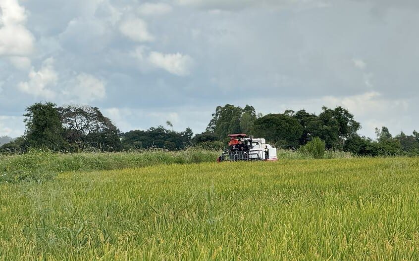 Estudo do Banco Mundial no Brasil propõe reduzir gastos para investir no meio ambiente