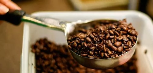 China abre mercado para 183 empresas brasileiras de café enquanto Trump impõe tarifa de 50%