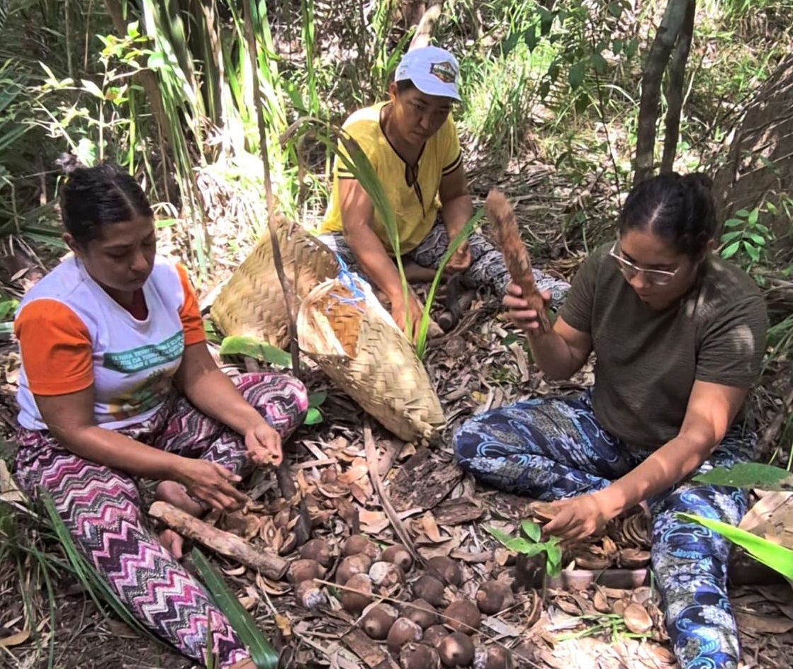 Fundação Banco do Brasil apoia 1ª fábrica de sabonetes artesanais com óleo de coco babaçu