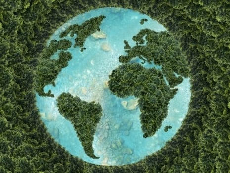 Reciclar reduz emissões e protege recursos naturais, mostra estudo inédito