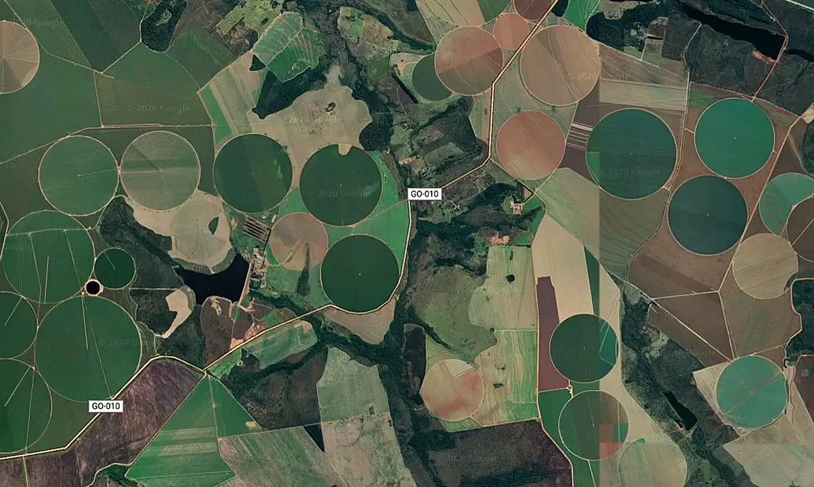 Suspensão da Moratória da Soja pelo Cade preocupa Ministério do Meio Ambiente