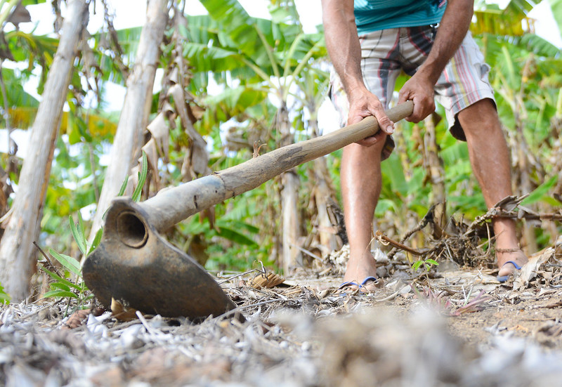 Descontos de até 95% para regularizar dívidas com Banco do Nordeste podem beneficiar 800 mil clientes