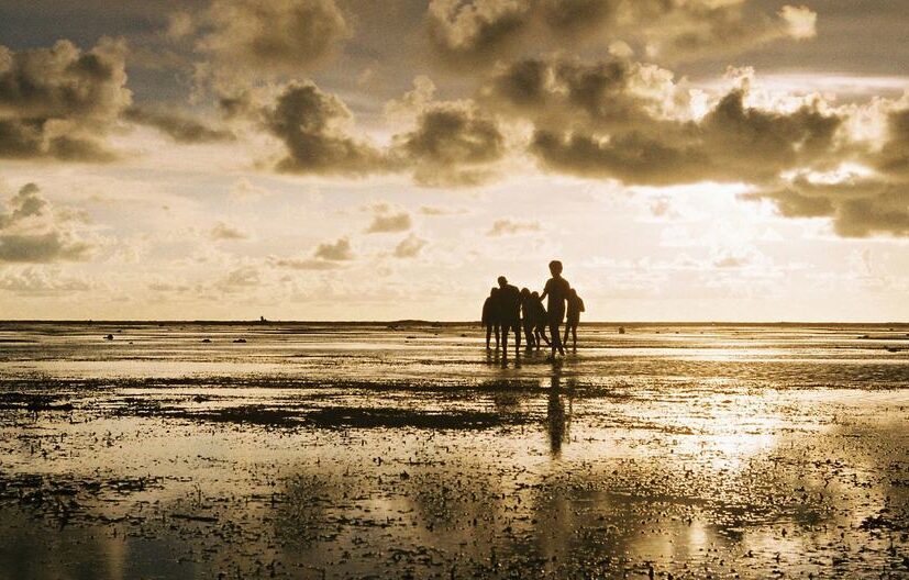 Temperatura global seguirá alta, mesmo com resfriamento do La Niña