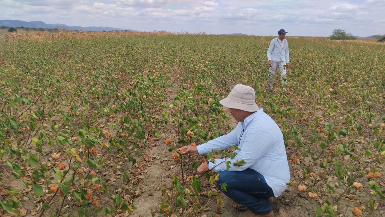 Projeto paraibano que fortalece agricultura familiar é finalista de prêmio nacional