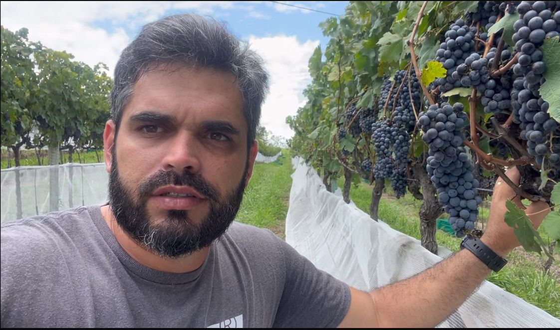 Bananeiras, no Brejo paraibano, se credencia como produtora de uvas com foco na consolidação de vinhos