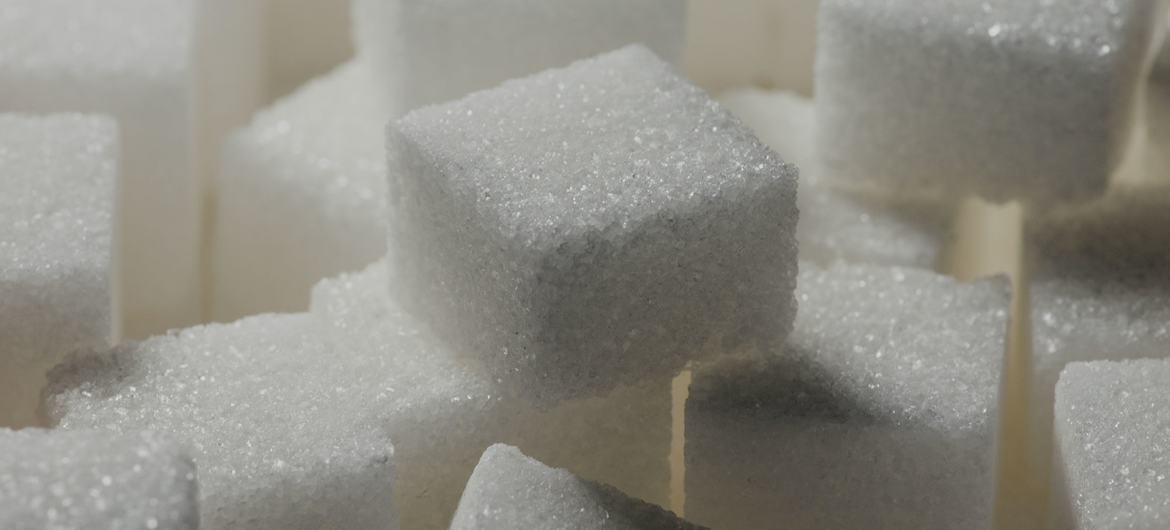 FAO aponta queda nos preços globais de alimentos; açúcar se destaca com produção no Nordeste e no Centro-Sul