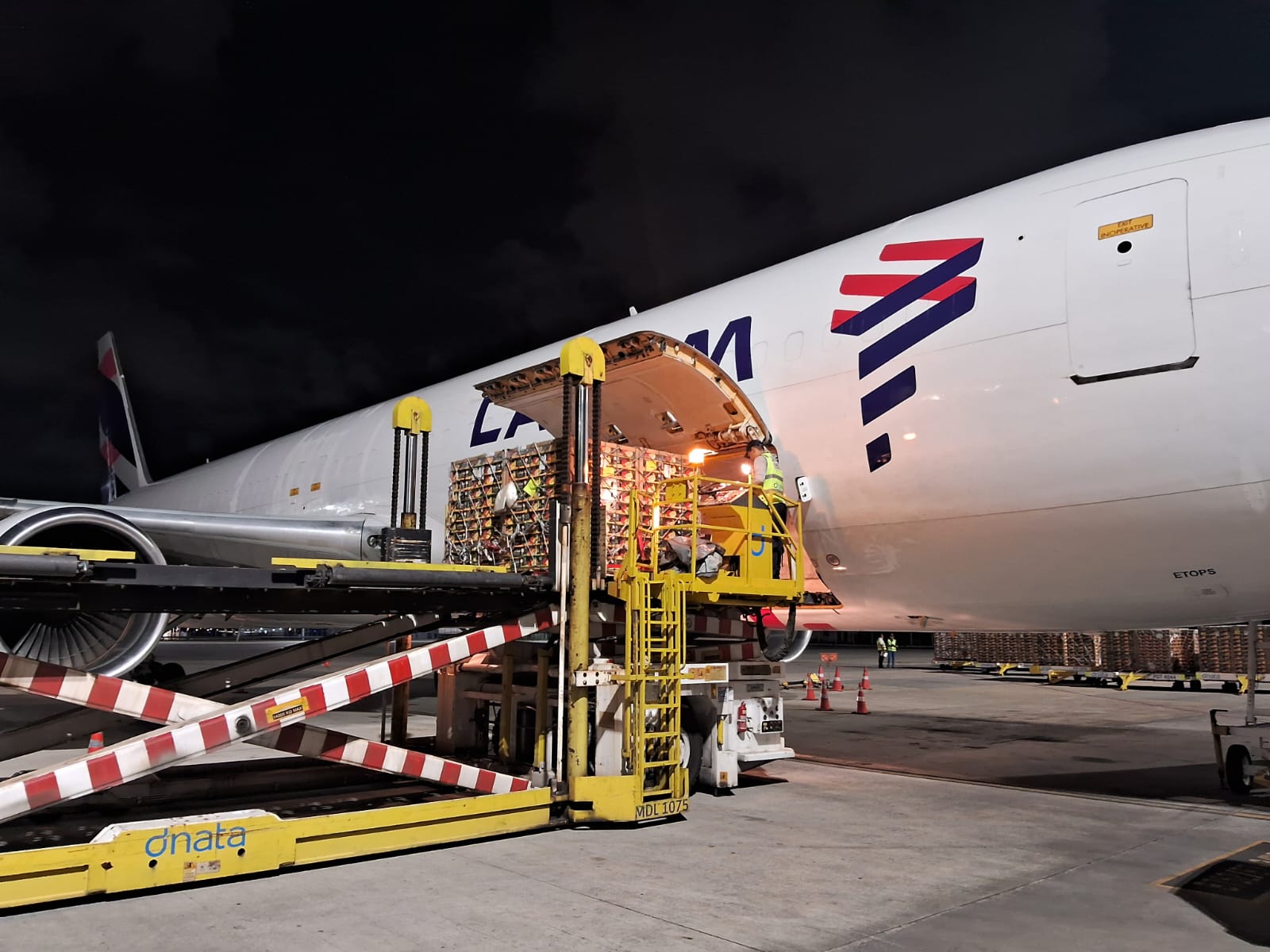 Nova rota da LATAM impulsiona exportação de frutas do Vale do São Francisco para Europa