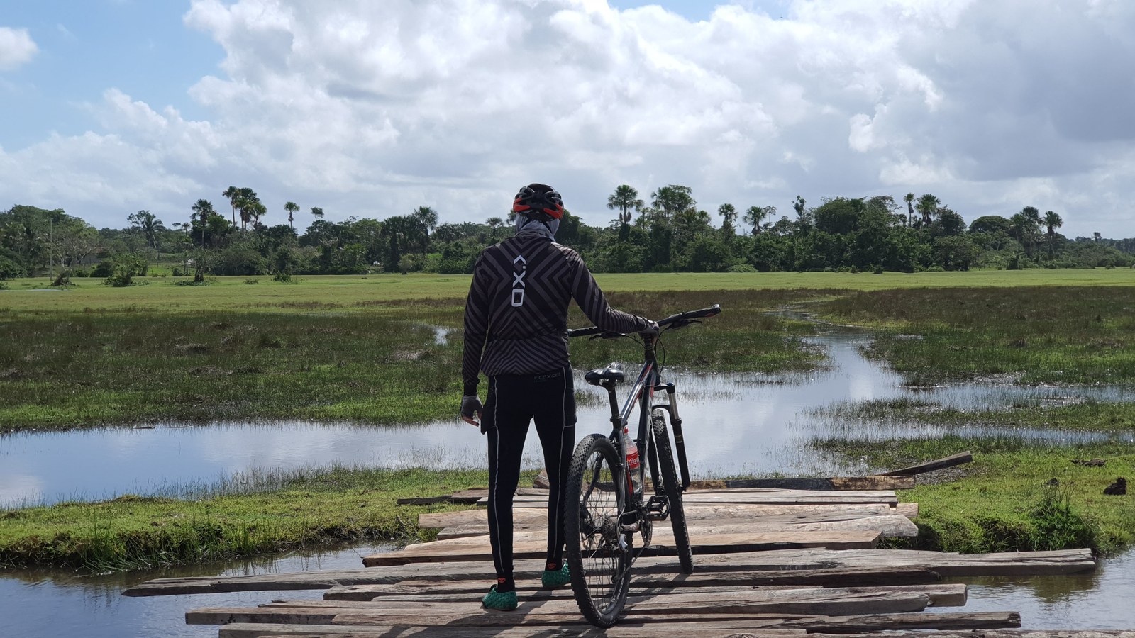 Maior trilha sinalizada da América Latina será inaugurada na COP30