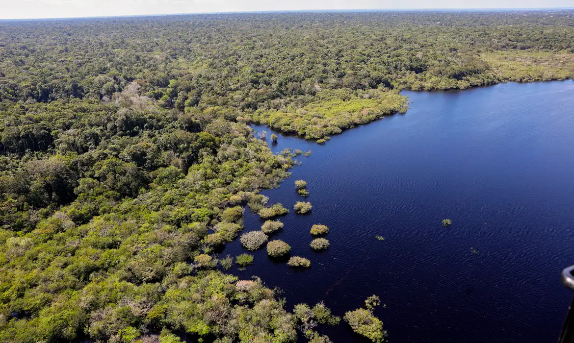 Amazônia e Cerrado registram queda de 11% no desmatamento; Exceção é o Matopiba