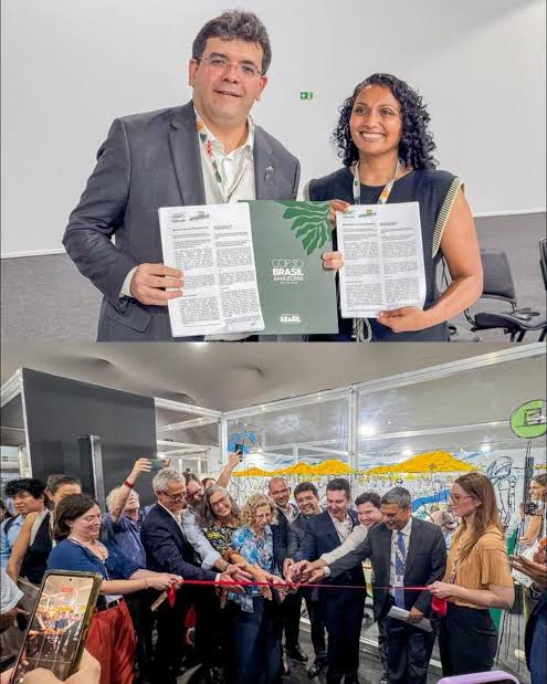 Consórcio Nordeste: BNDES e BNB firmam acordo de R$ 100 milhões para recompor a CAATINGA