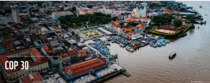WWF declara que a  COP 30 é oportunidade para colocar a natureza como aliada do clima