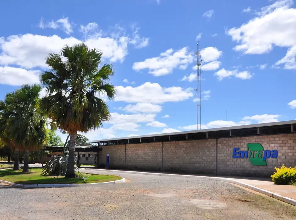 Aplicativo gratuito da Embrapa ajuda a planejar barragens no semiárido