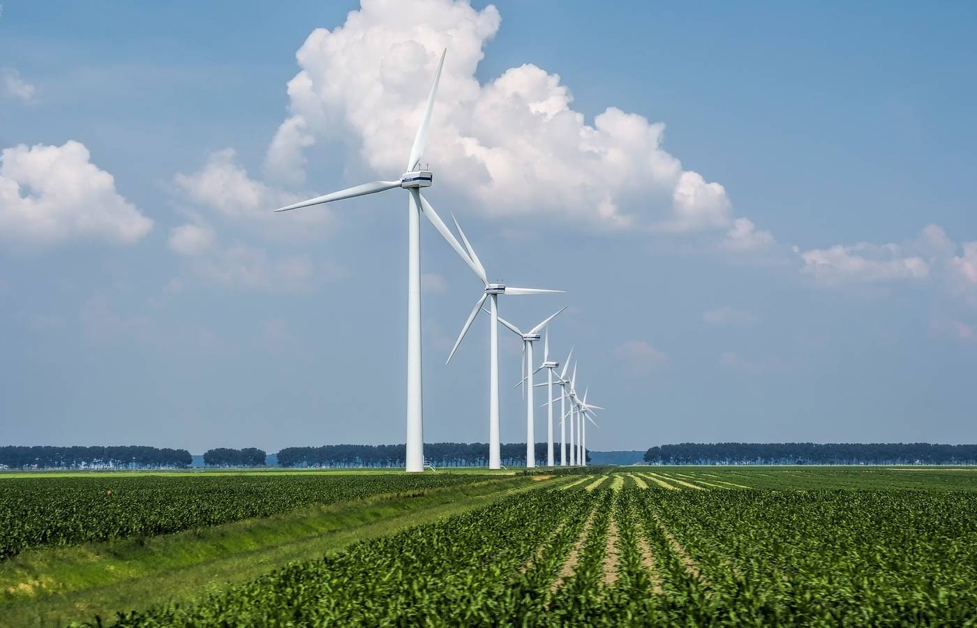 Municípios têm até esta segunda-feira para contribuir com novas regras de licenciamento de parques eólicos