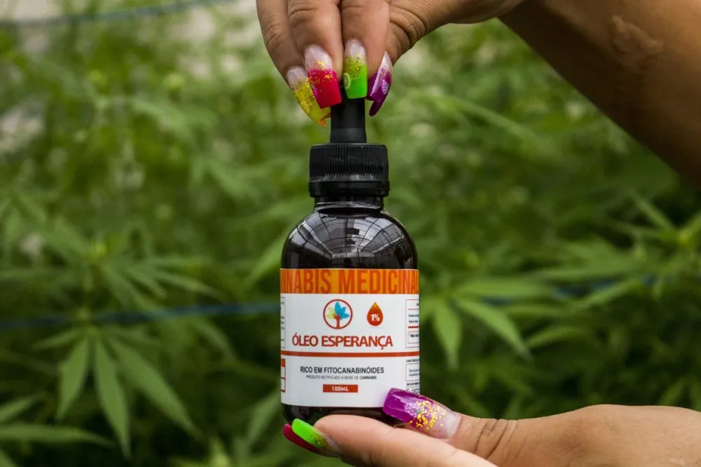 Saiba em detalhes como a “ABRACE” cura com Canabidiol Medicinal