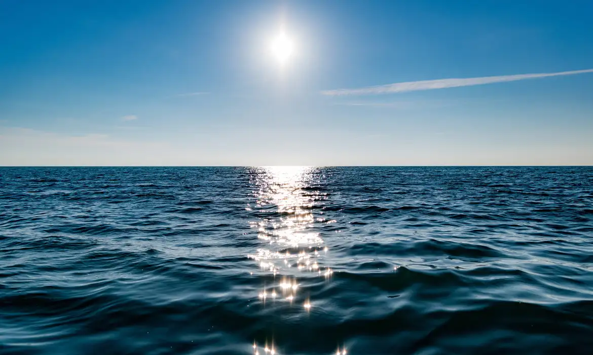 Tratado de Alto-Mar entra em vigor. O que muda para o Brasil?