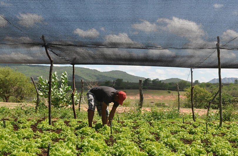 Agricultura familiar na Paraíba ganha apoio do Banco Mundial para clima e geração de empregos