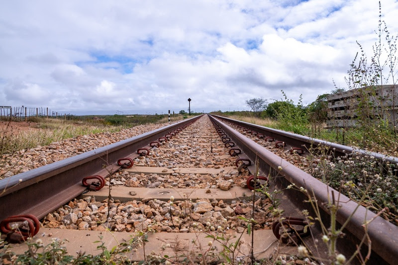 Avançam tratativas para trecho pernambucano da ferrovia Transnordestina