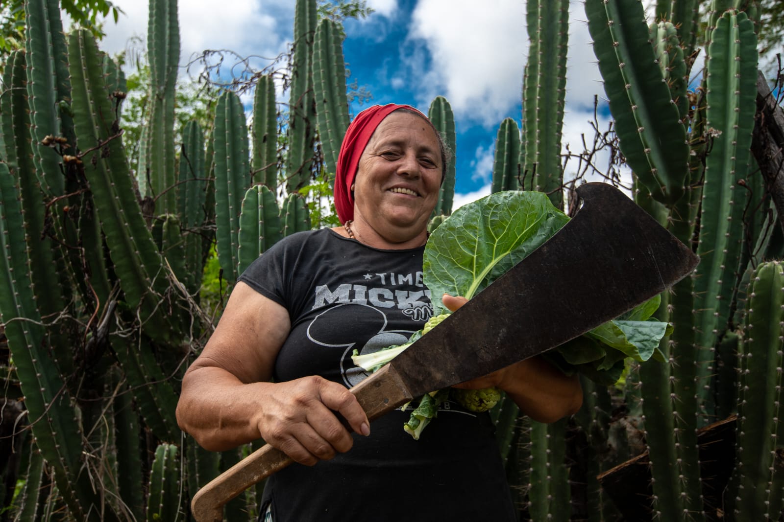 Seminário internacional no Recife debate soluções dos Semiáridos latino-americanos para a crise climática